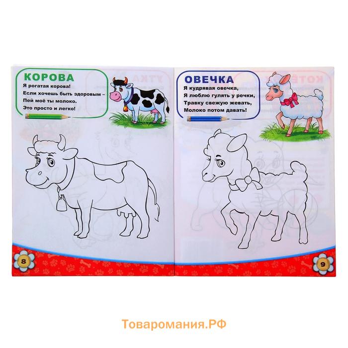 Раскраска детская «Домашние животные», 12 стр.