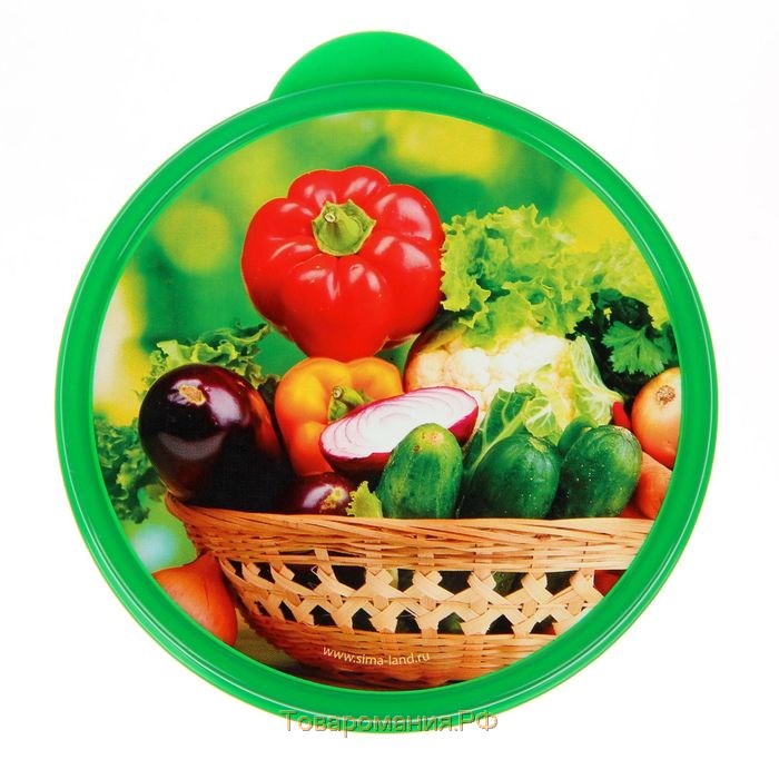 Ланч-бокс «Овощи и зелень», 0.5 л