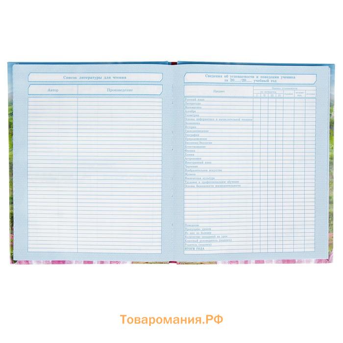 Дневник для 1-4 классов, "Принцесса", твердая обложка 7БЦ, глянцевая ламинация, 48 листов