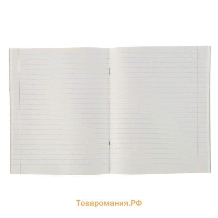 Тетрадь 48 листов в линейку Calligrata «Графика-2», обложка мелованный картон, блок №2, белизна 75% (серые листы), МИКС