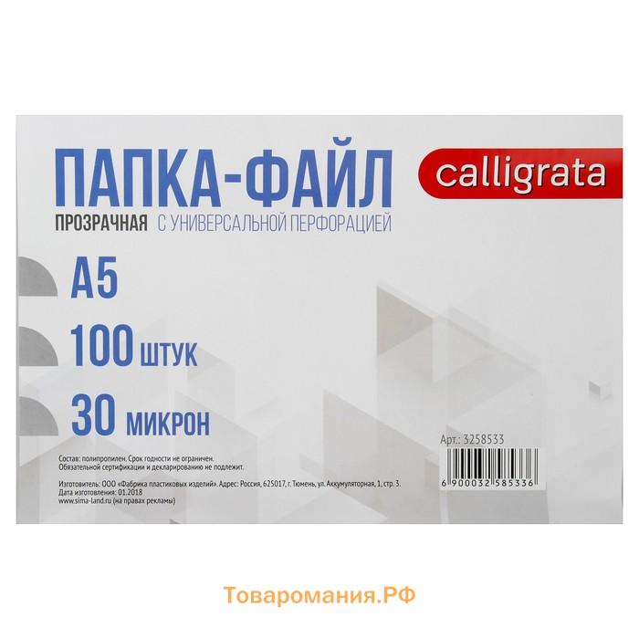 Файл-вкладыш А5, 30 мкм, Calligrata, глянцевый, вертикальный, 100 штук