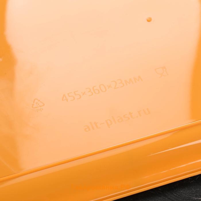 Поднос Альт-Пласт «Колос», пластик, 45.5×36 см, МИКС