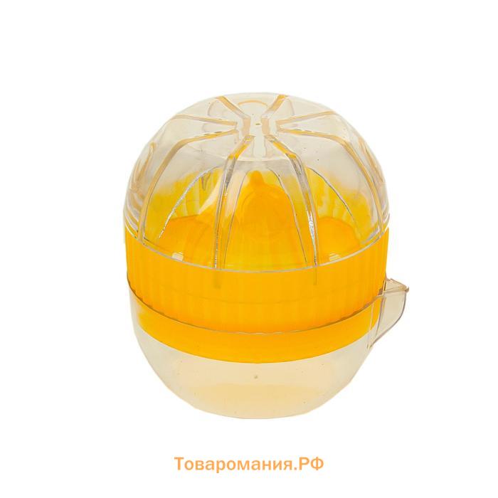 Соковыжималка для цитрусовых с лотком и крышкой , d=7.5 см, 7×8 см, МИКС