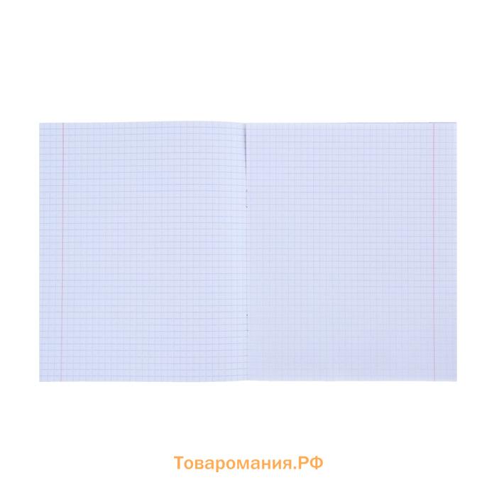 Тетрадь 12 листов в клетку «Зелёная обложка», плотность 60 г/м², белизна 92%
