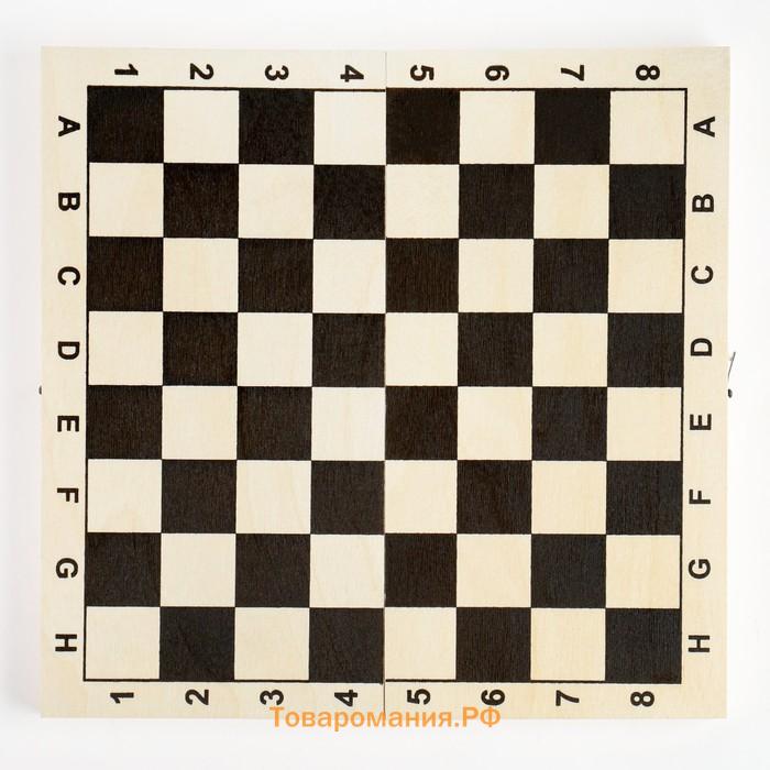 Шахматная доска «Классическая», деревянная, 29×29 см