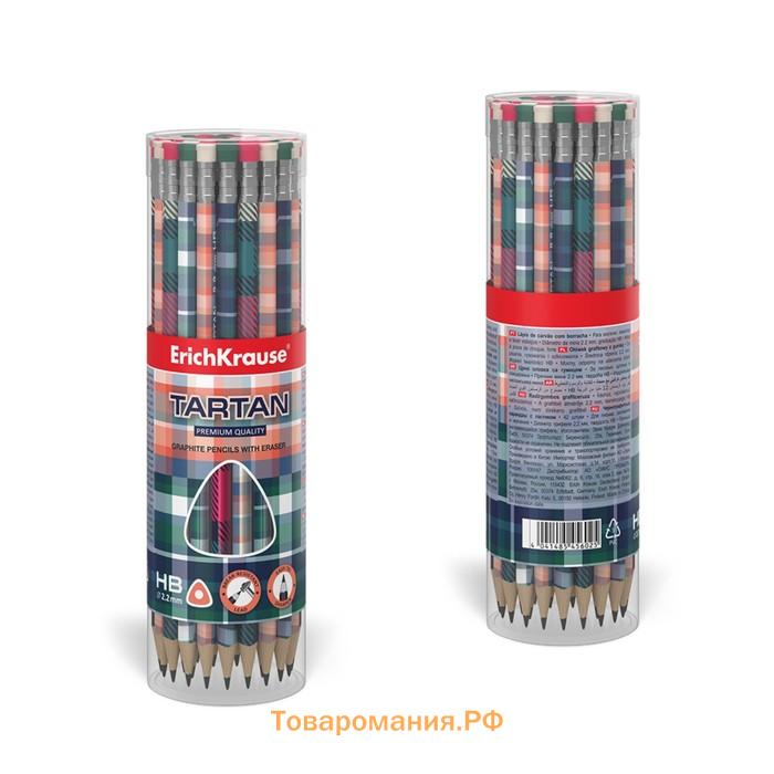 Карандаш чернографитный, ErichKrause «Tartan», с ластиком, HB, d=2.2, трехгранный с принтом, дерево, в тубусе, микс