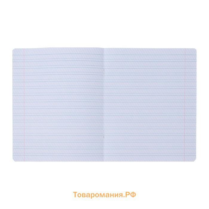 Набор тетрадей 12 листов в частую косую линейку Calligrata "Однотонная. Школьная", обложка мелованная бумага, 10 шт.