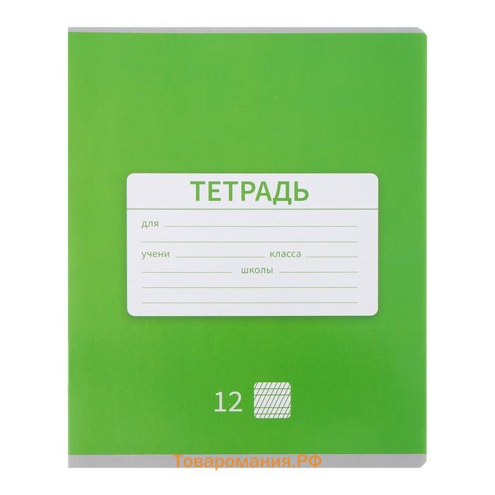 Набор тетрадей 12 листов в частую косую линейку Calligrata "Однотонная. Школьная", обложка мелованная бумага, 10 шт.