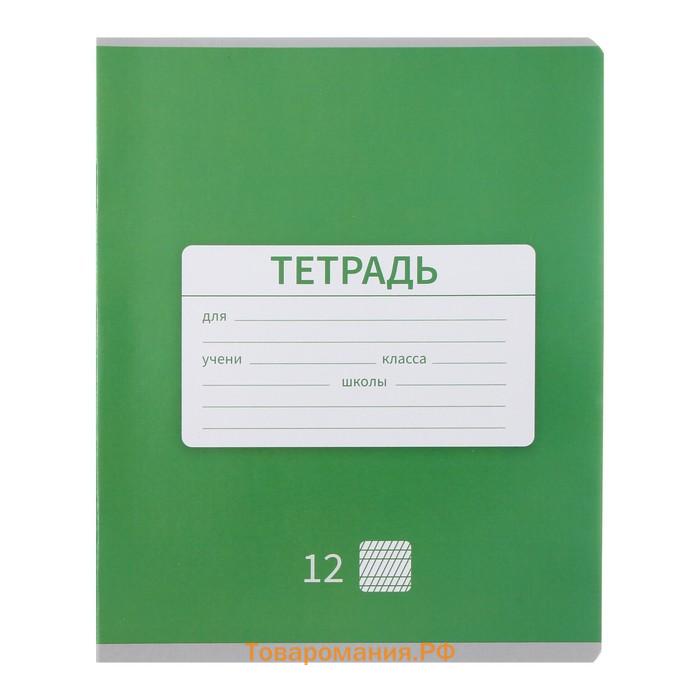 Набор тетрадей 12 листов в частую косую линейку Calligrata "Однотонная. Школьная", обложка мелованная бумага, 10 шт.