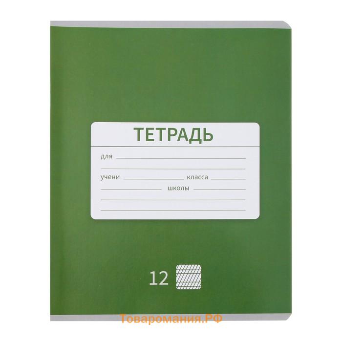 Набор тетрадей 12 листов в частую косую линейку Calligrata "Однотонная. Школьная", обложка мелованная бумага, 10 шт.