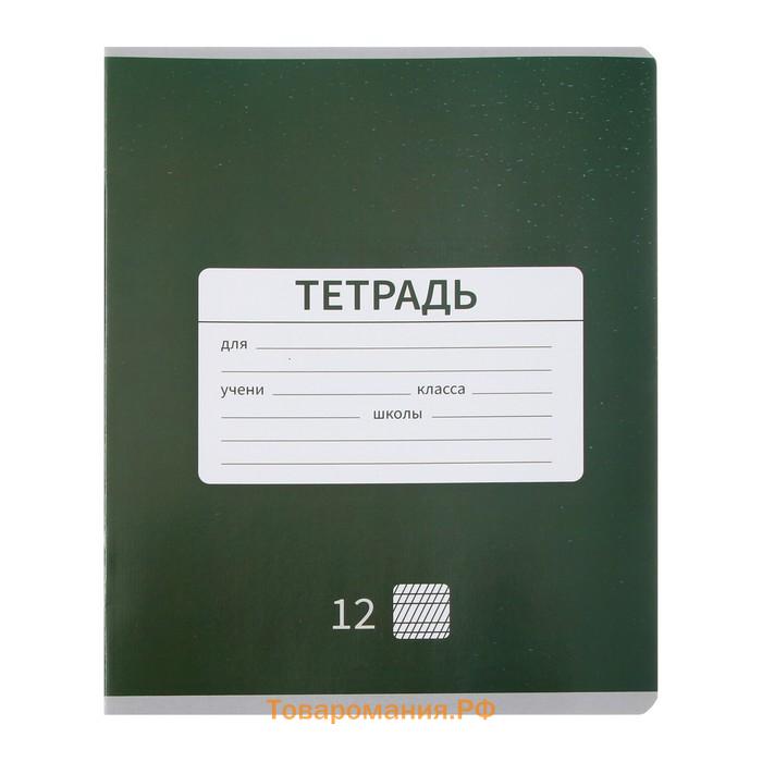 Набор тетрадей 12 листов в частую косую линейку Calligrata "Однотонная. Школьная", обложка мелованная бумага, 10 шт.