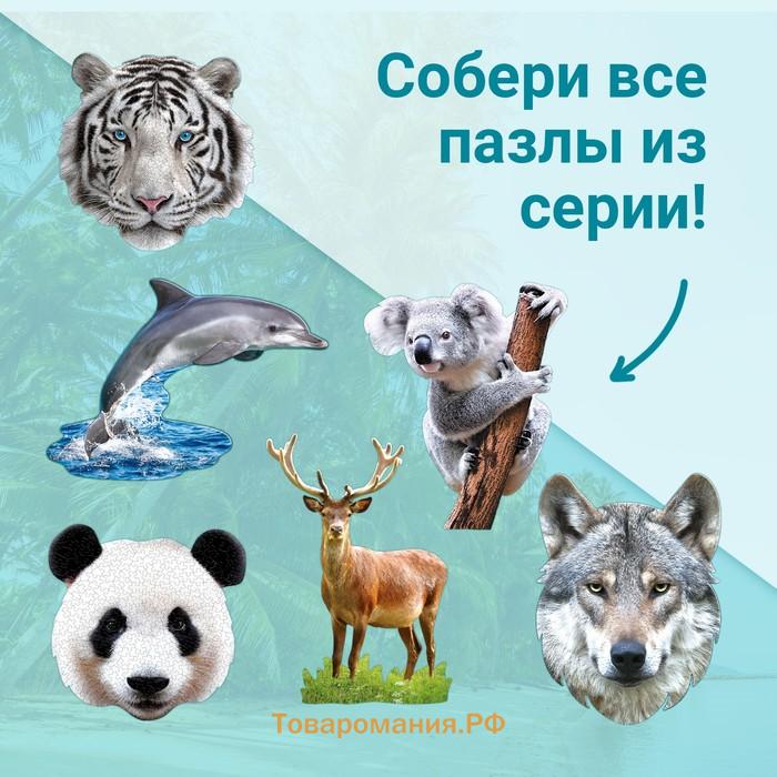 Пазл фигурный «Милая коала», 100 деталей