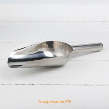 Совок для льда и сыпучих продуктов, 200 мл, 22×8 см, нержавеющая сталь, хромированный