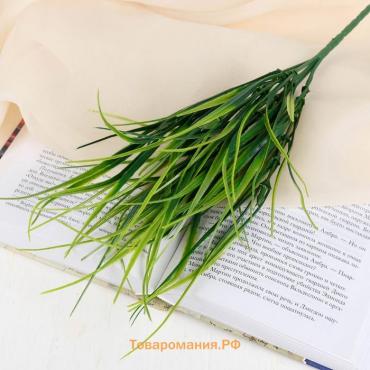 Букет «Осока», 30 см