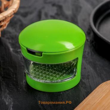 Приспособление для нарезки чеснока «Прино», 2 насадки, 7.5×7.5×6 см, зелёное