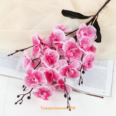 Цветы искусственные «Орхидея фаленопсис», 8×80 см, розовый МИКС