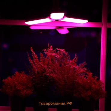 Фитолампа для растений, светодиодная, E27, 24 Вт, IP20, 220 В, 180°, трёхлепестковая, складная, мультиспектральная