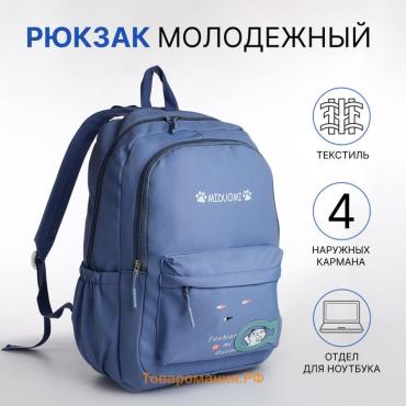 Рюкзак школьный Velaria на молнии, с карманами, голубой