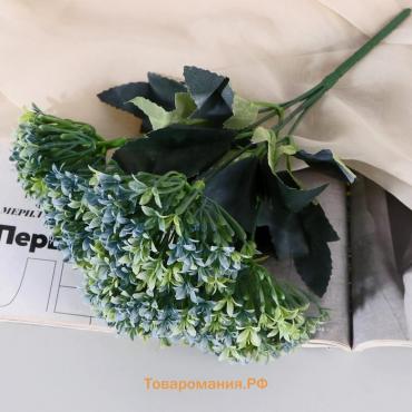 Букет «Гортензия метельчатая», 6×27 см, МИКС